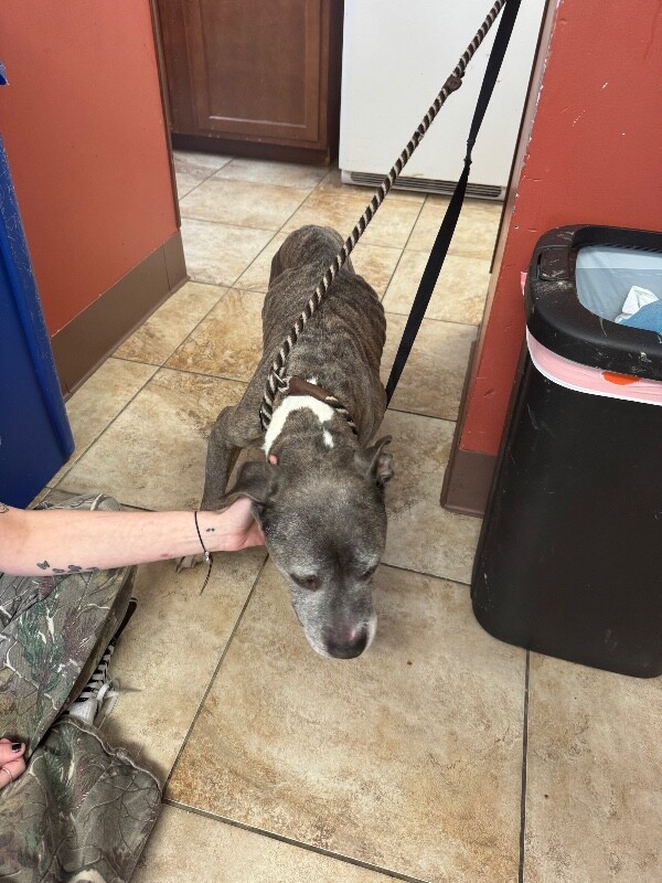 Learn More About Brucy IMG 1653