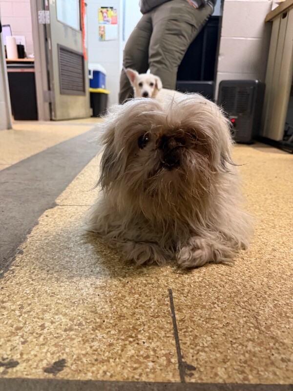 Learn More About JJ IMG 0592