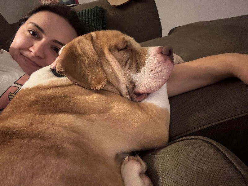 View Orange Creamsicle the Dog Photo #2