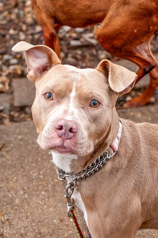 IMGP8641 Enhanced NR