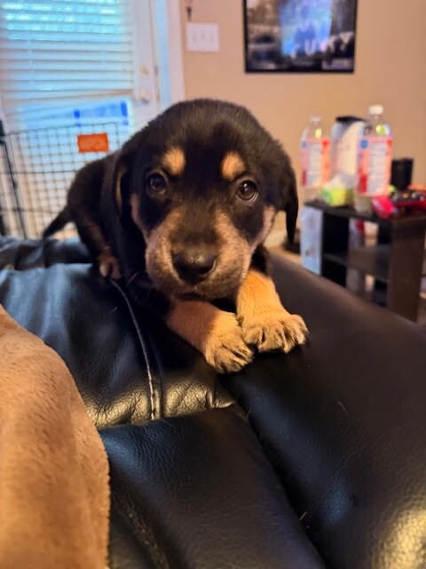 Learn More About T. L. Norris unnamed 2