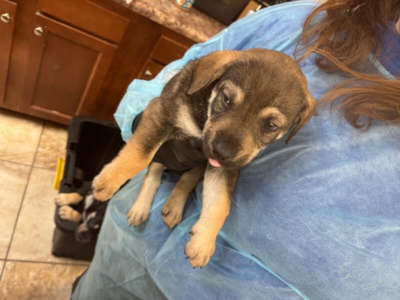 Learn More About Cooper Norris IMG 1679