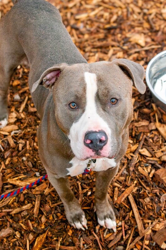 IMGP8854 Enhanced NR