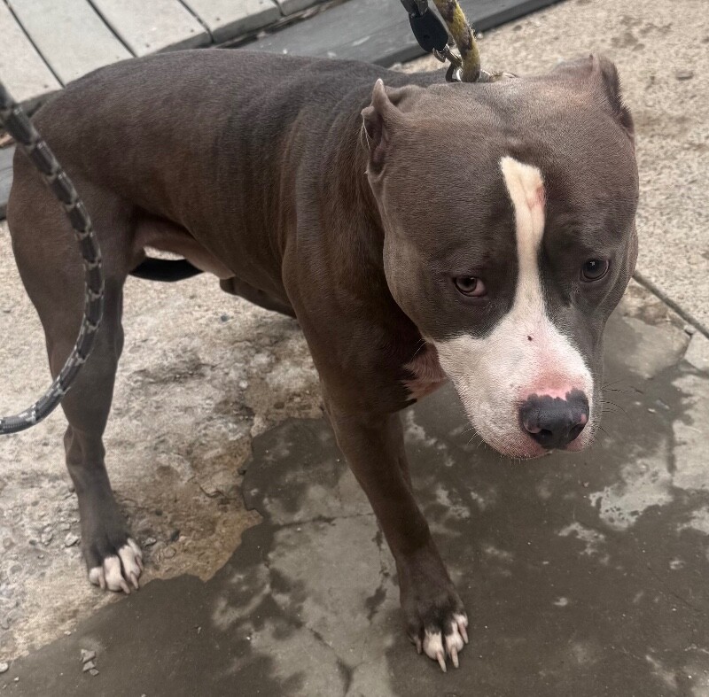 Learn More About Snail IMG 6151