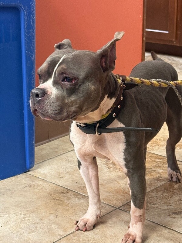 Learn More About Slug IMG 6153