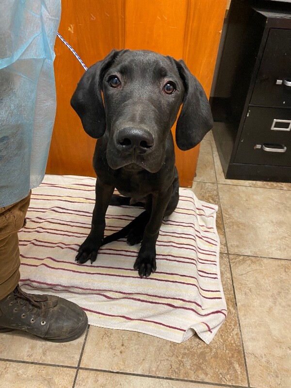 Learn More About Tully B IMG 5146