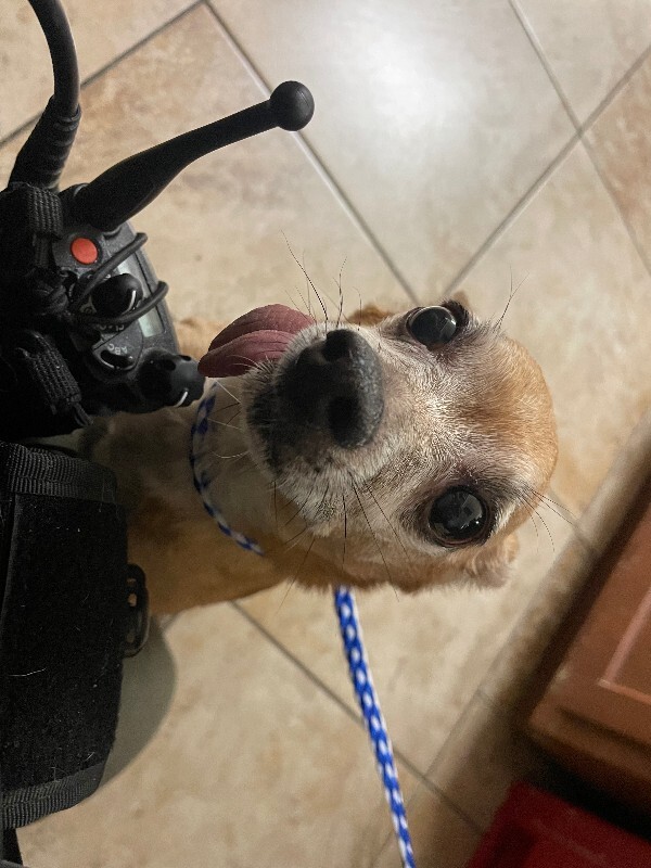 Learn More About Loch Ness IMG 2396