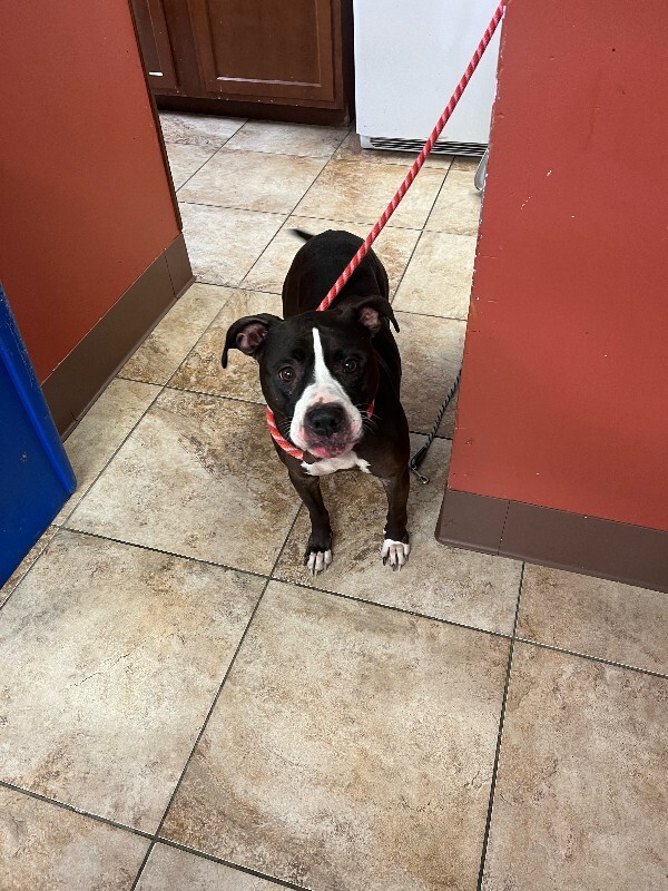 Learn More About Annabelle image2 2026 02 13T141611.375