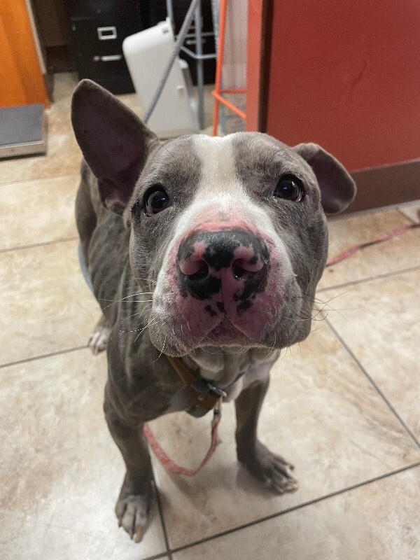 Learn More About Baby Shark IMG 2427