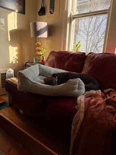 View Roz the Dog Photo #7