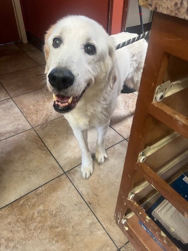 image3 2026 02 16T145420.051