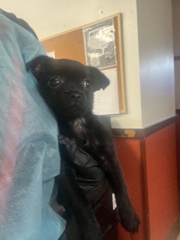 image1 2026 02 16T154159.421