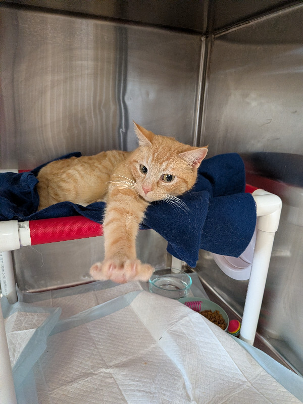 PXL 20260217 195119156