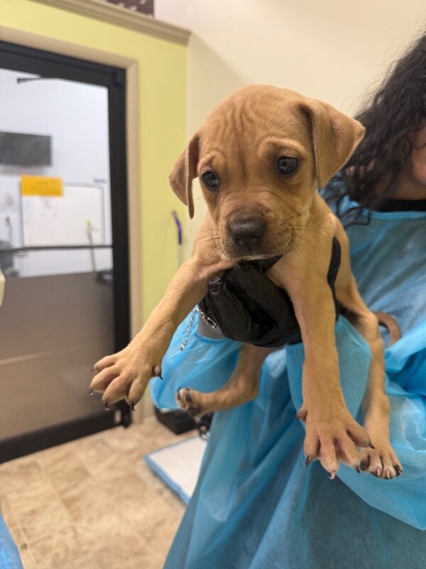 Learn More About Colin IMG 6291