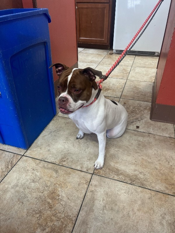 Learn More About Lovey image1 2026 02 18T152425.585