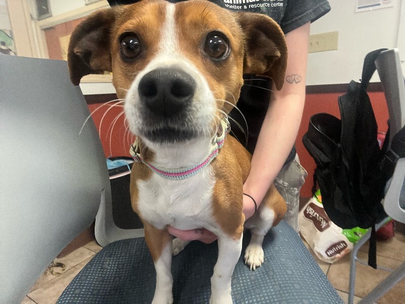 image4 2026 02 19T161322.470