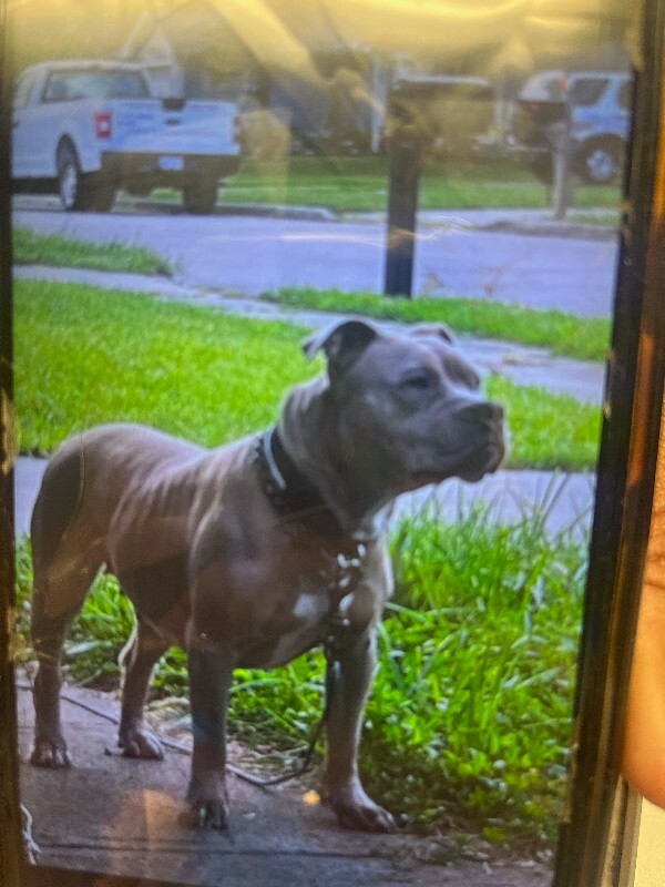 image1 2026 02 20T165558.807