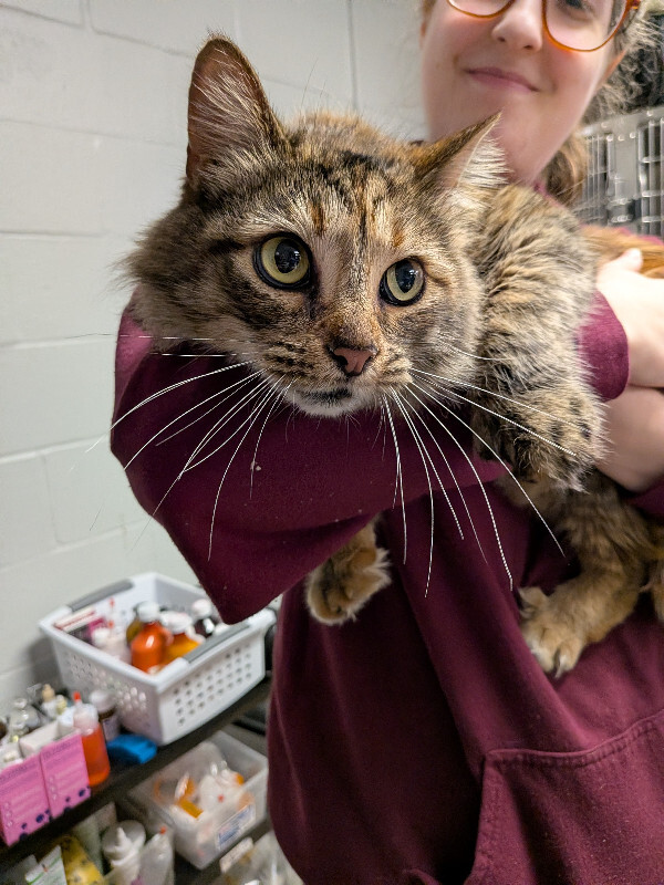 PXL 20260221 183539242