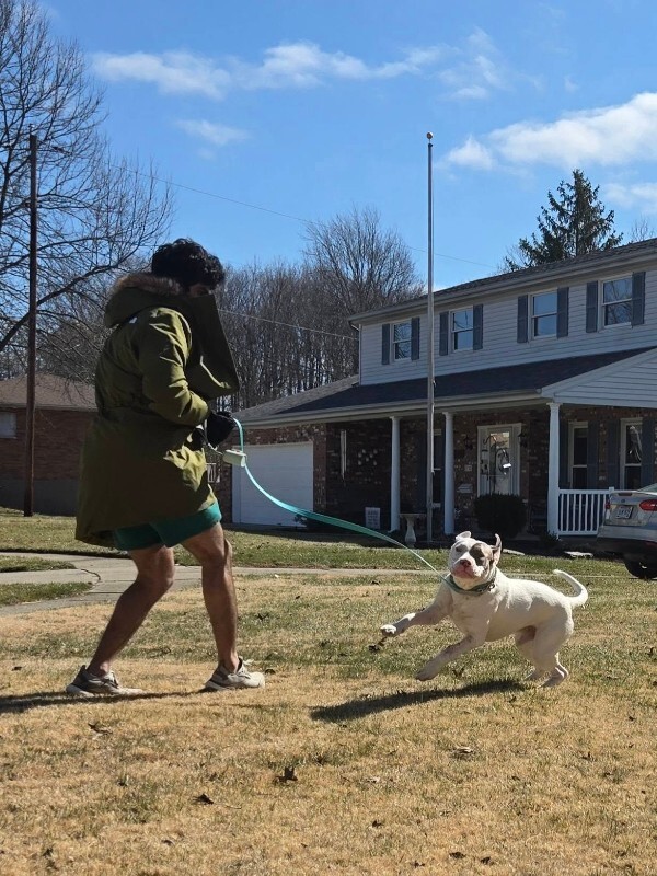 View Sweet Boy the Dog Photo #4