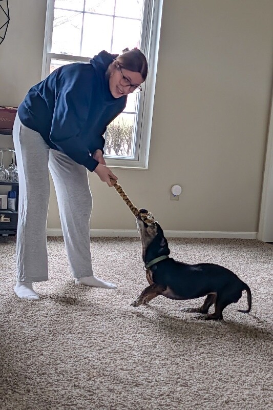 View Chloe Cherry the Dog Photo #10