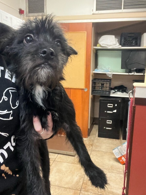 image4 2026 02 22T173604.457