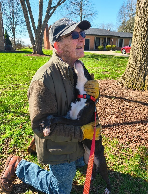 View R Dizzle the Dog Photo #8