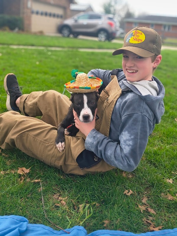 View R Dizzle the Dog Photo #9