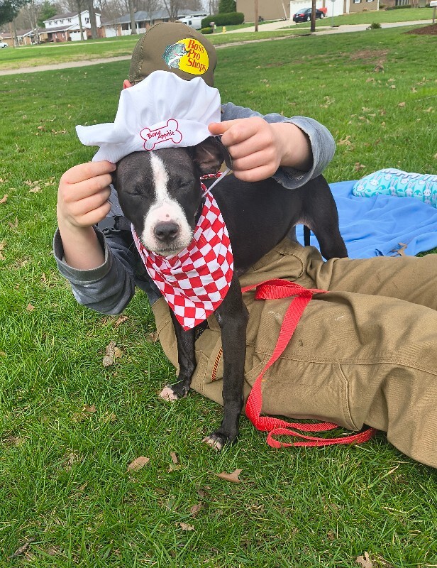 View R Dizzle the Dog Photo #11