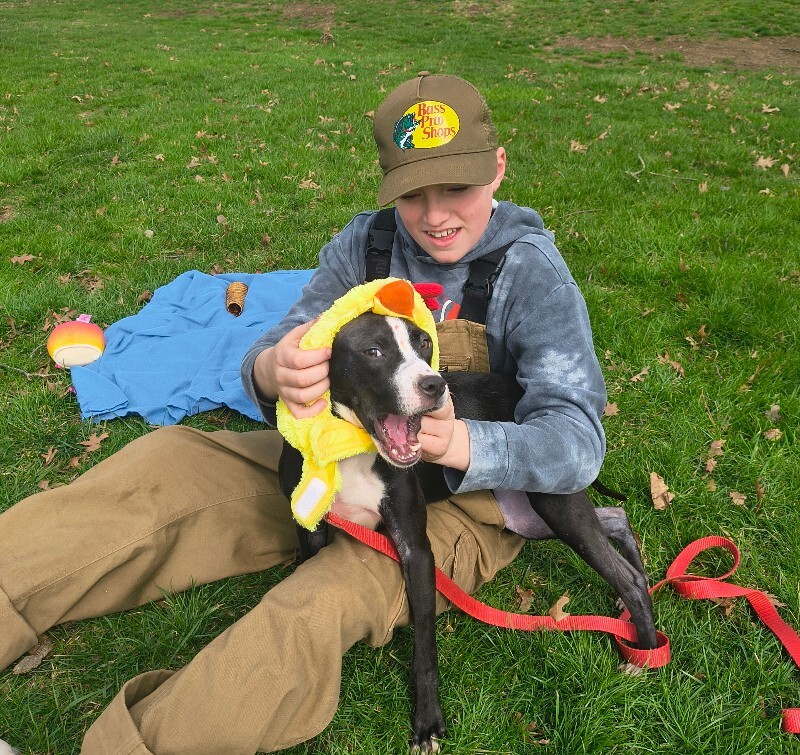 View R Dizzle the Dog Photo #10