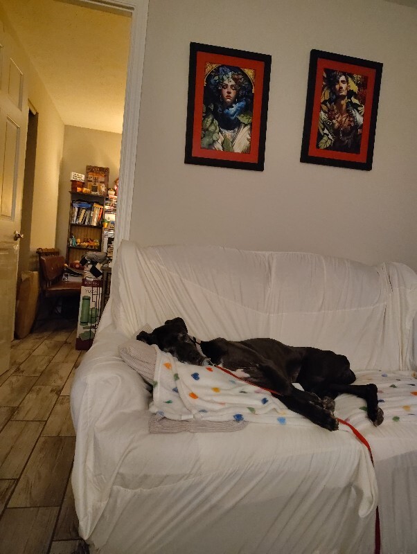 View Karla the Dog Photo #20