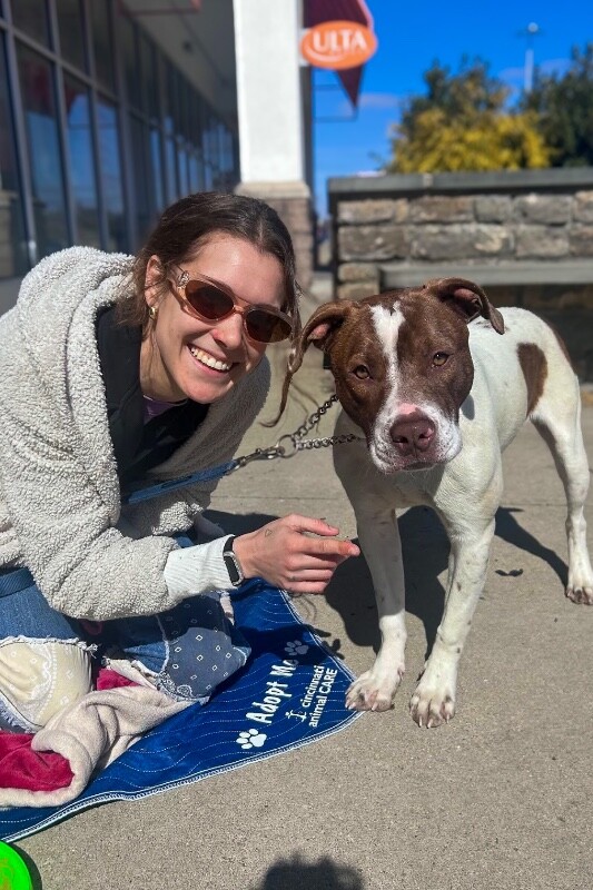 View Mcdonald the Dog Photo #9