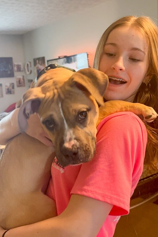 View Mt. Dew the Dog Photo #6