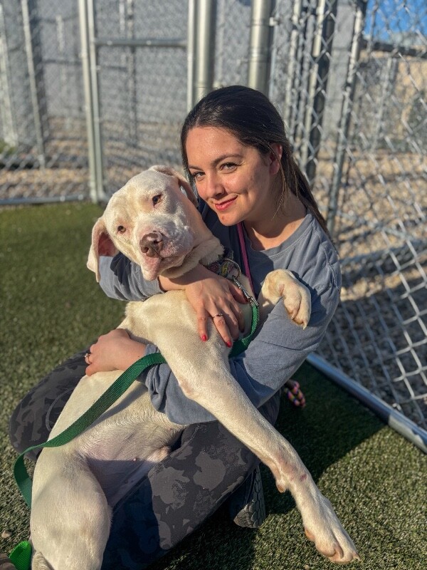 View Eden the Dog Photo #5