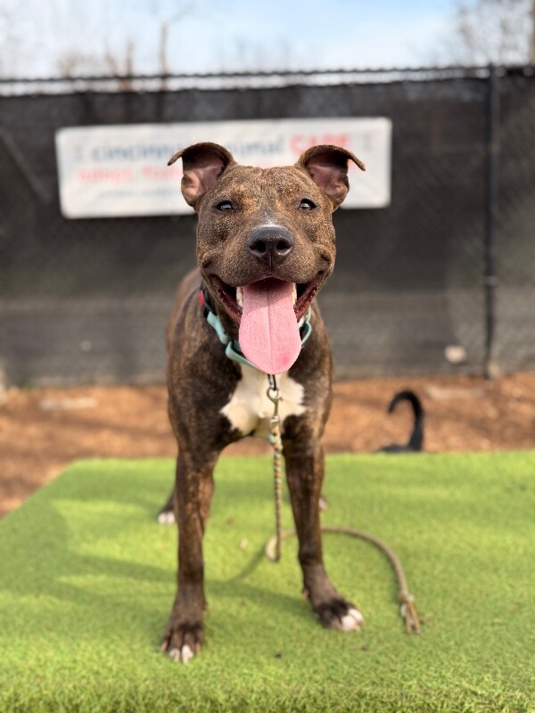 Blue Cheese Crumbles