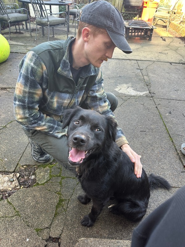 View Tchotchke the Dog Photo #3