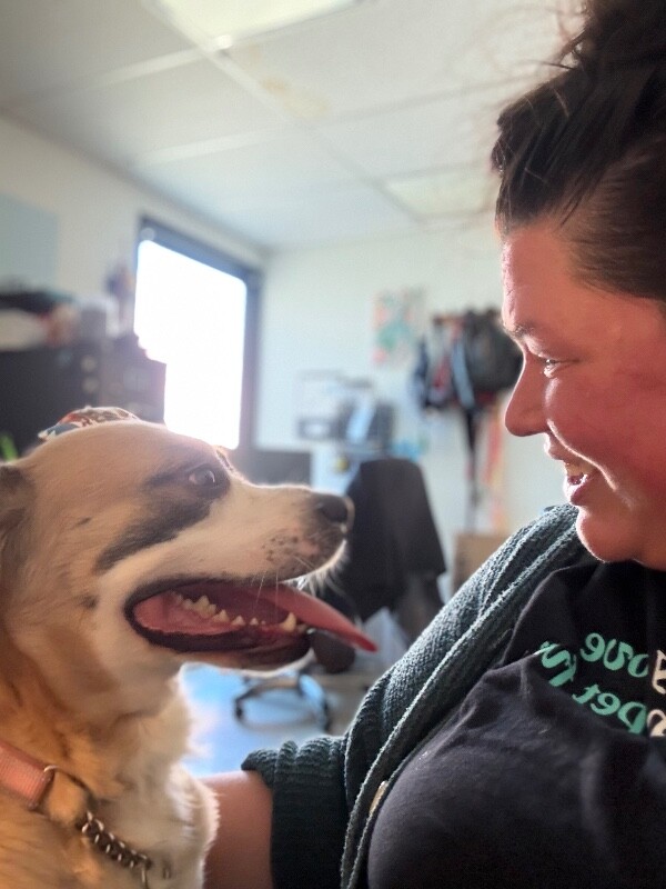 View Kathleen the Dog Photo #2