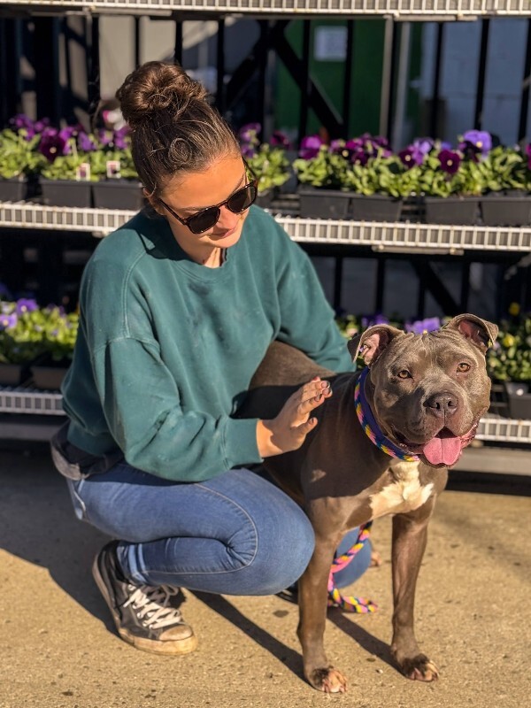 View Rowan the Dog Photo #8