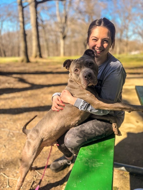 View Rowan the Dog Photo #9