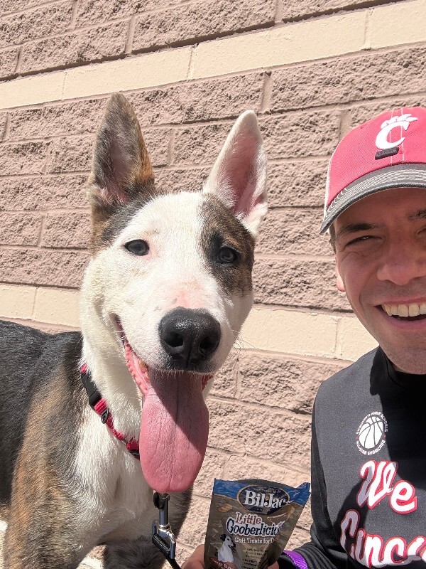 View Dawn the Dog Photo #4