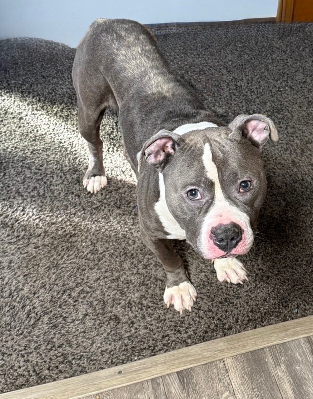 View Grub the Dog Photo #7