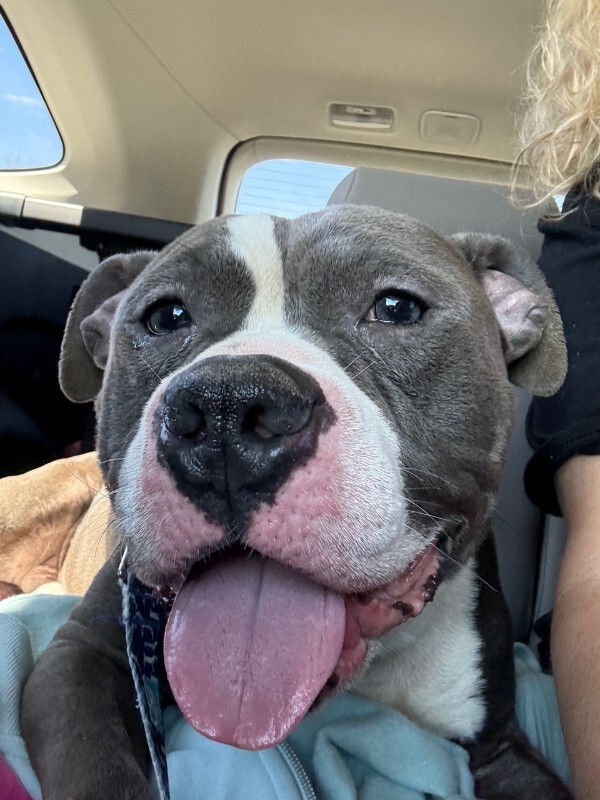 View Grub the Dog Photo #3