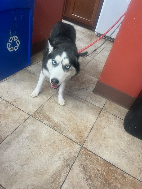 Strawberry Shortcake