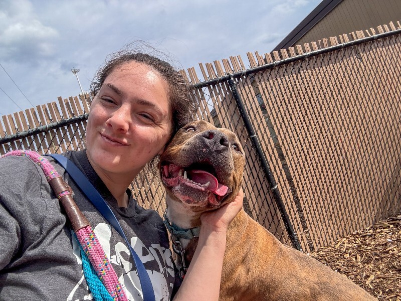 View Night Reign the Dog Photo #3