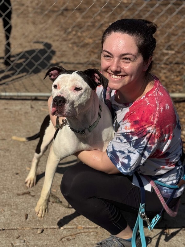 View Lillian the Dog Photo #5