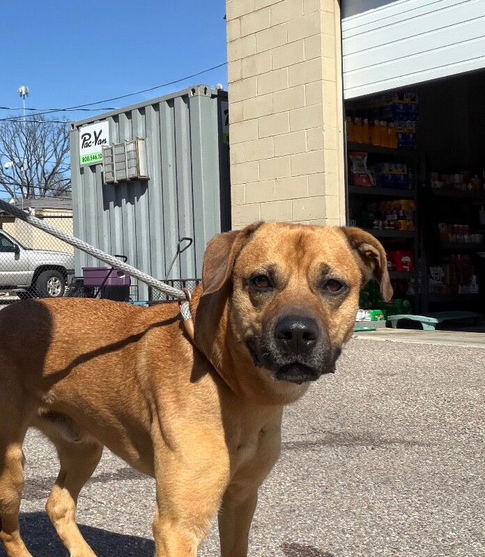 View Eramis the Dog Photo #13