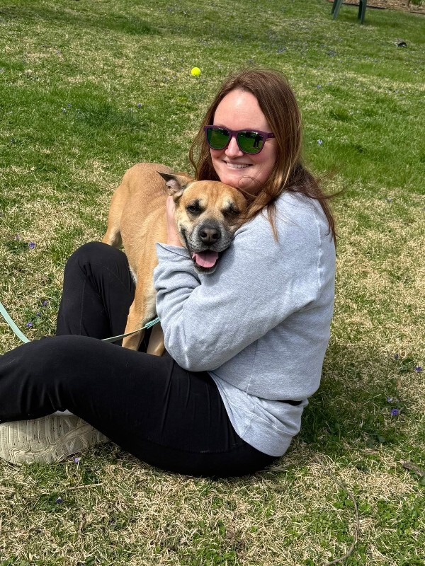 View Section the Dog Photo #9