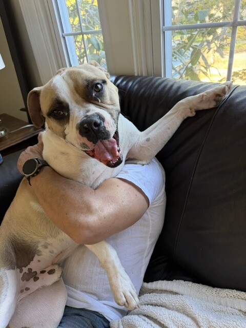 View Oswald the Dog Photo #2