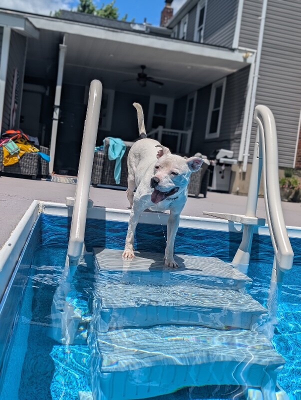 View Happy Feet the Dog Photo #6