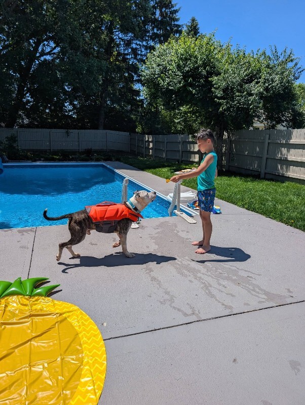 View Goldfish the Dog Photo #20