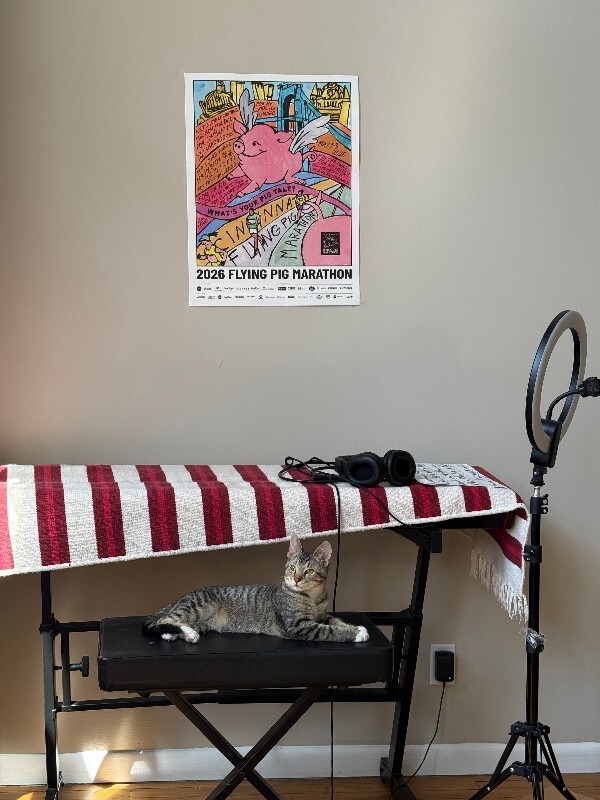 View Beamer the Cat Photo #3